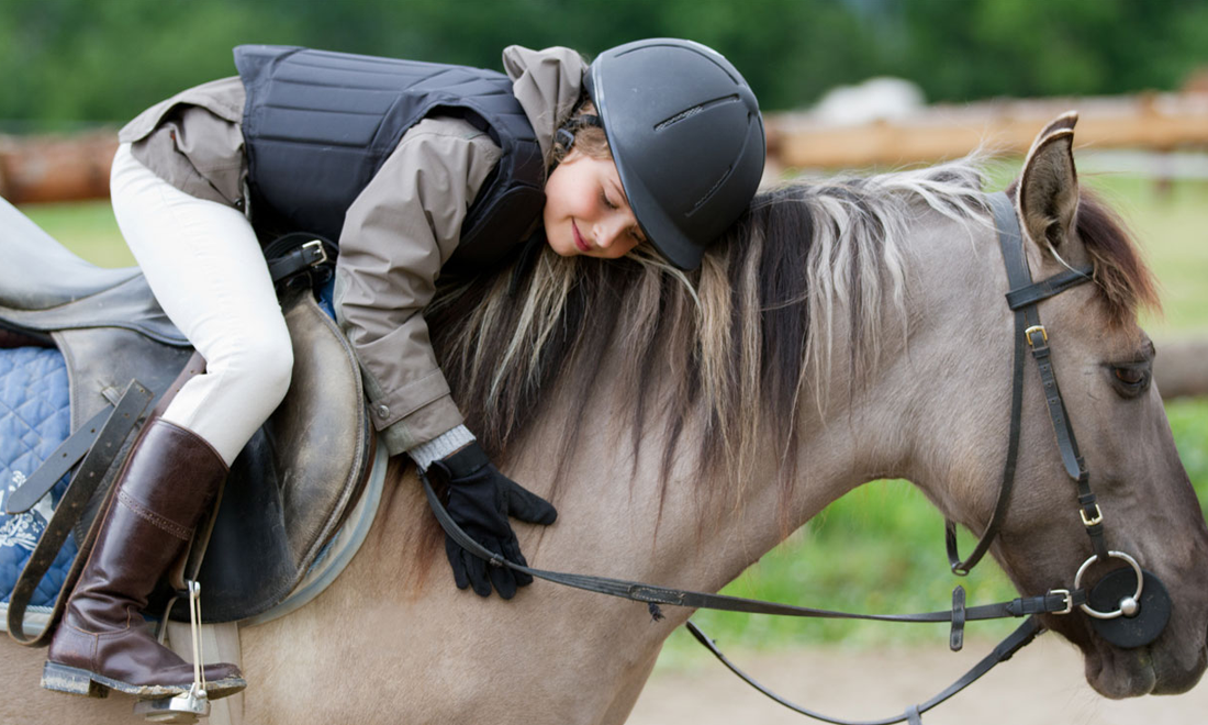Riding School